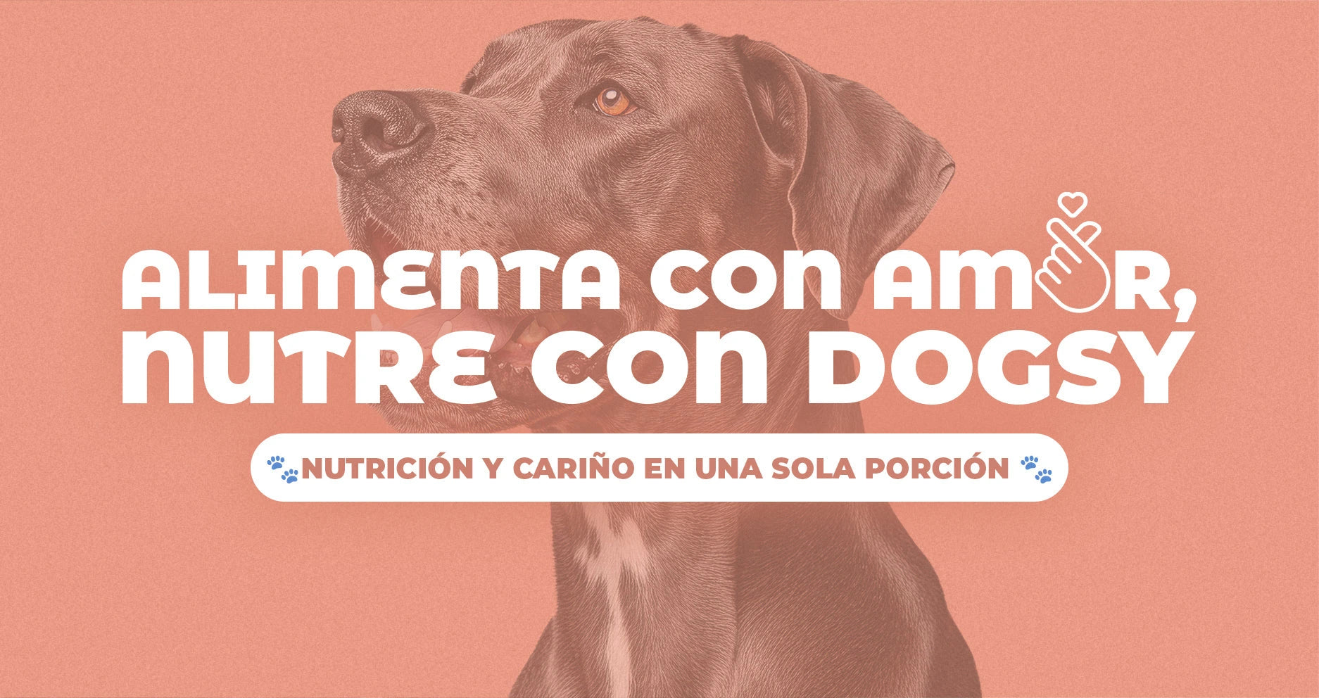 Banner dogsy nutrissi