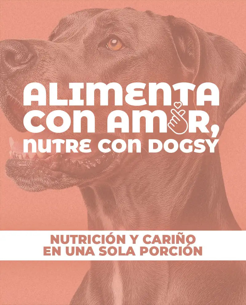 Banner dogsy nutrissi